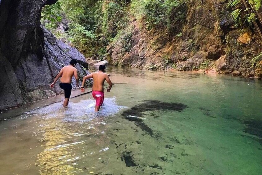 4-Hour Jungle Hike and Waterfall Swim