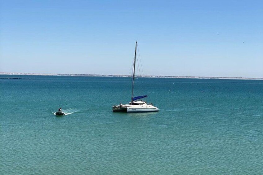 Catamaran trip in the big bay of Dakhla