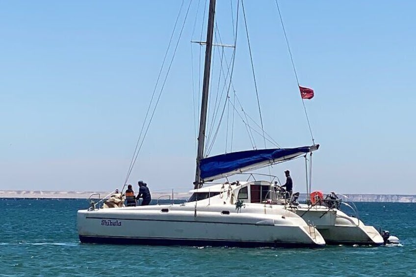 Catamaran trip in the big bay of Dakhla