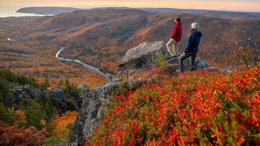 Private Cruise Excursion in Cape Breton