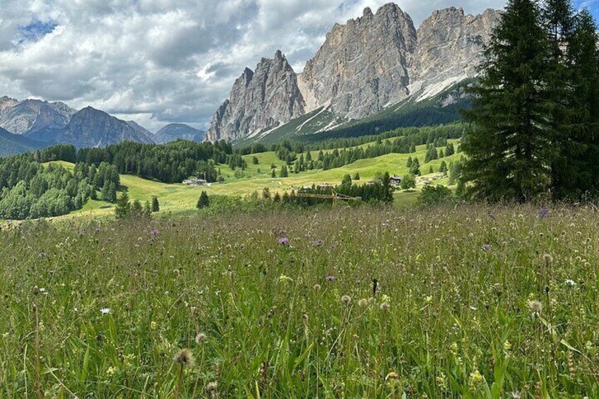 Private Guided Tour in the Dolomites from Venice