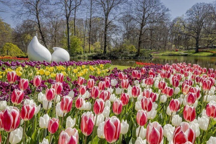 Private Flower tour to the Keukenhof