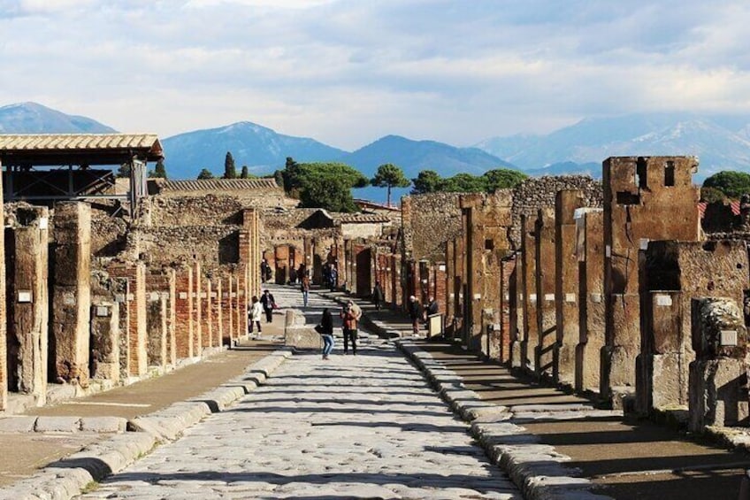 Pompeii Tour and Tasting at the Vesuvius Cellars from Ravello