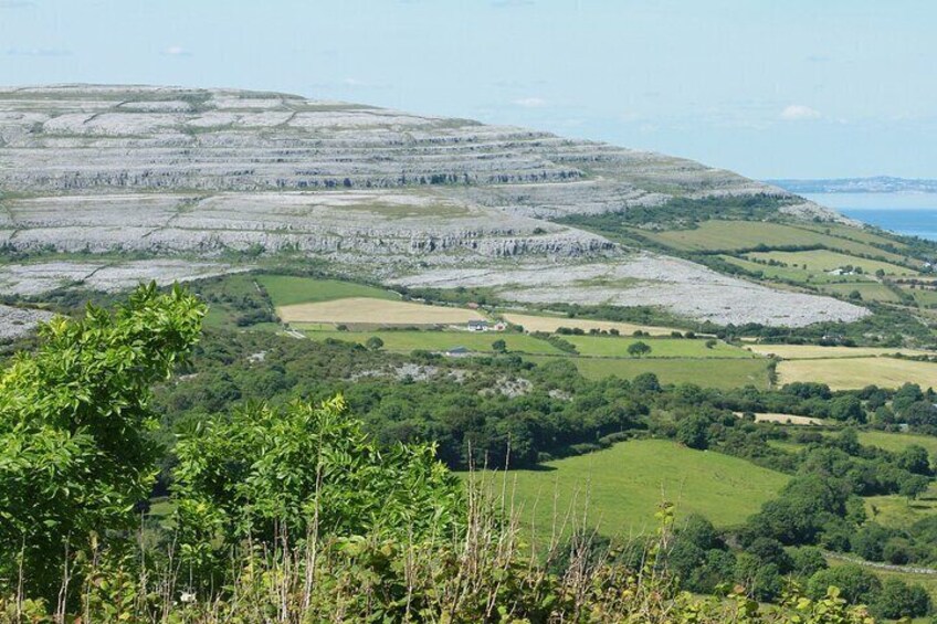 Private Burren and Cliffs of Moher Full Day Tour