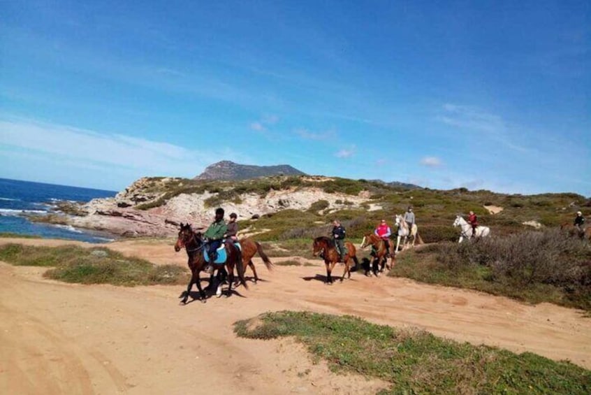 Alghero: Guided Horseback Ride at Lake Baratz & Porto Ferro