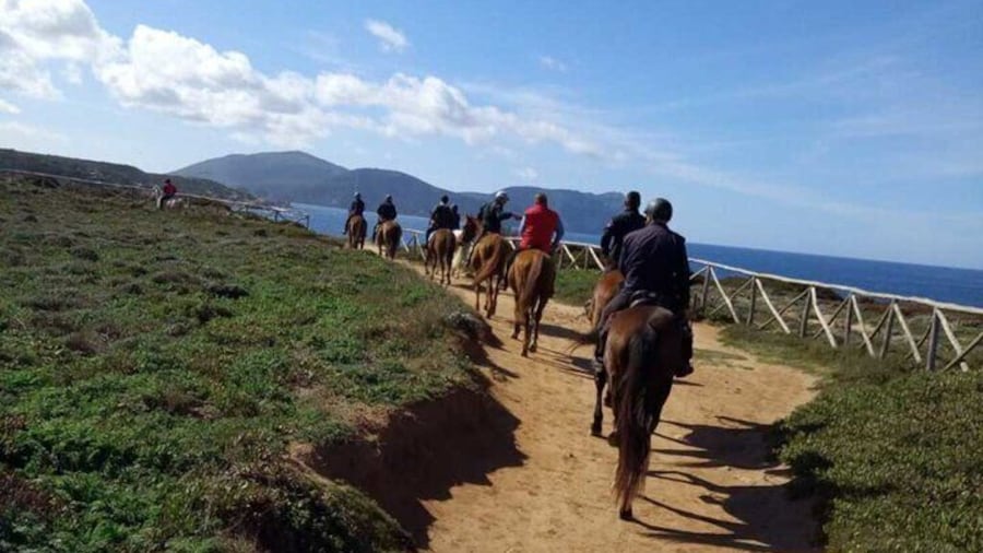Alghero: horseback ride in Porto Ferro and Lake Baratz