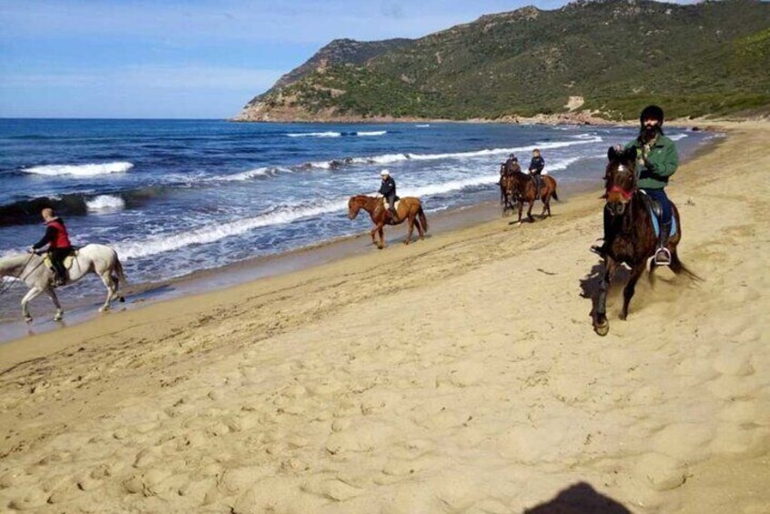 Alghero: Guided Horseback Ride at Lake Baratz & Porto Ferro