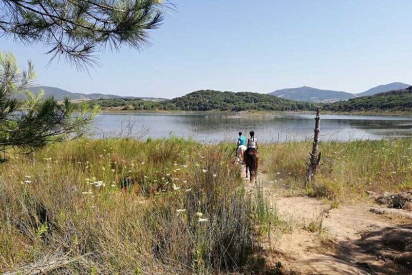 Alghero: Guided Horseback Ride at Lake Baratz & Porto Ferro