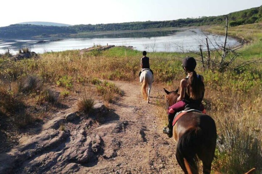 Alghero: Guided Horseback Ride at Lake Baratz & Porto Ferro