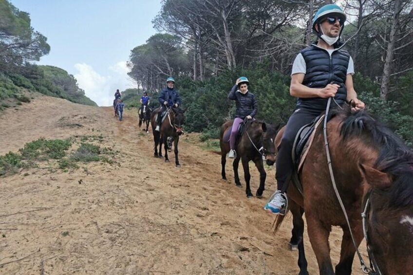 Alghero: Guided Horseback Ride at Lake Baratz & Porto Ferro