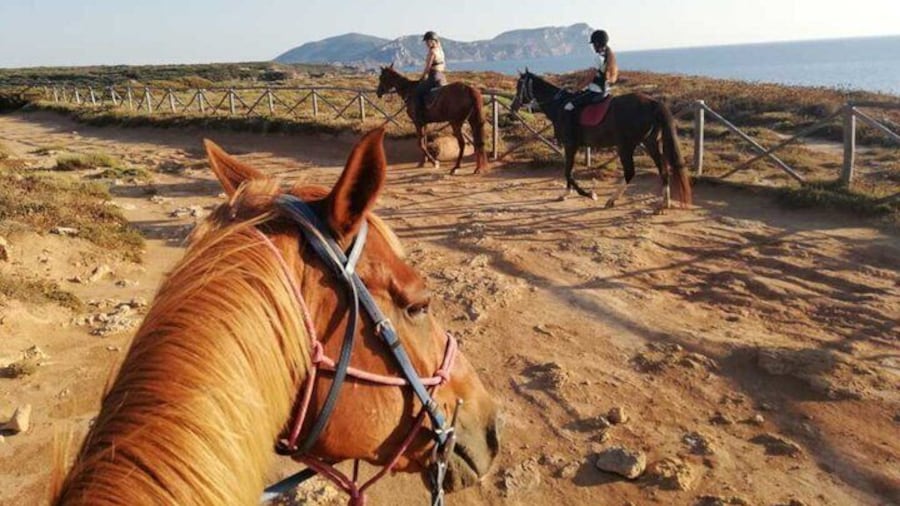 Alghero: Guided Horseback Ride at Lake Baratz & Porto Ferro