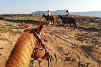 Alghero: horseback ride in Porto Ferro and Lake Baratz