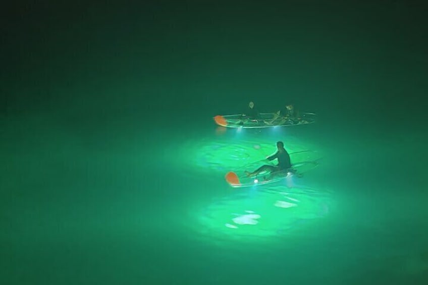 Private Night Tour in Blue Cave on a Clear-Bottom Kayak 