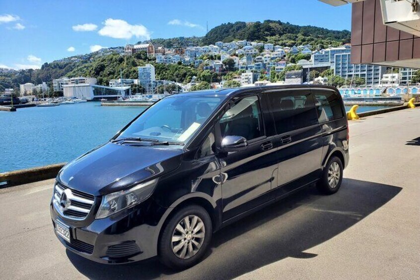  Exclusive Wellington Sightseeing Private Tour 