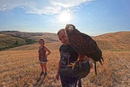 Falconry experience in Tuscany