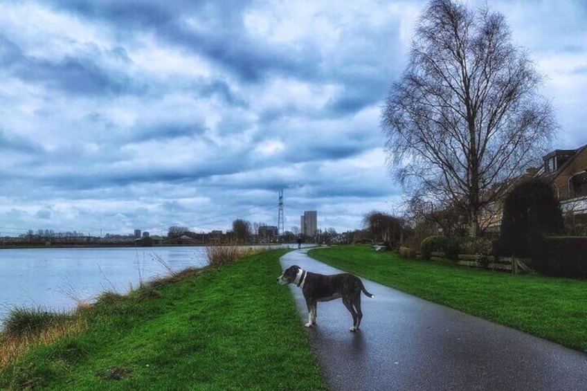 The River Zijl flows through our walking path of the Dutch polder and windmill walking tour
