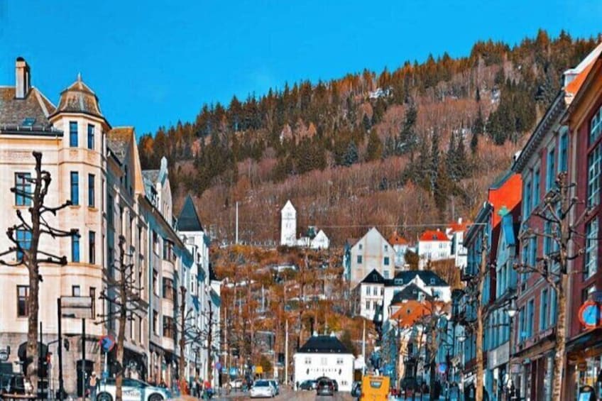 Half-Day Private Walking Tour in Bergen with Dinner and Funicular
