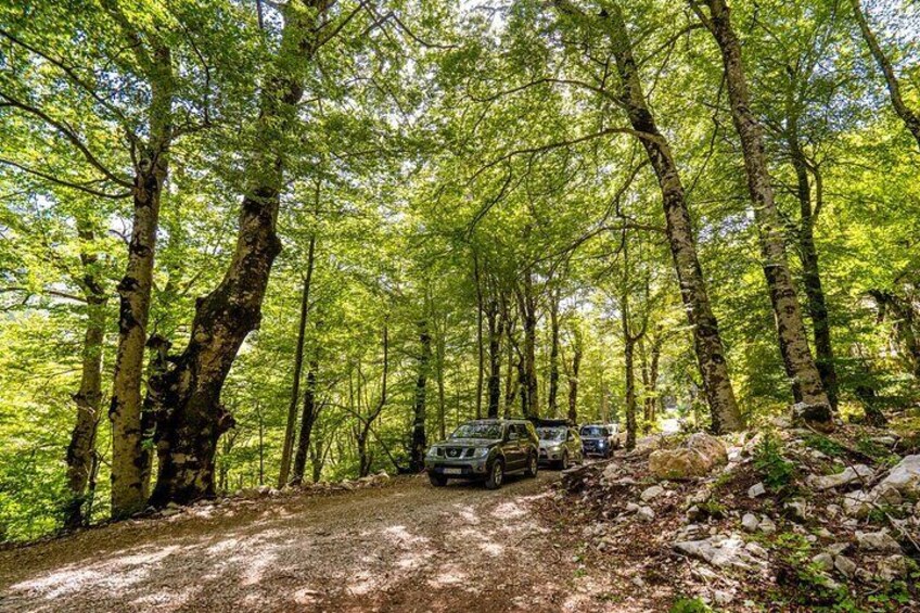 Rumija Jeep Experience w/ traditional lunch in Bar, Montenegro