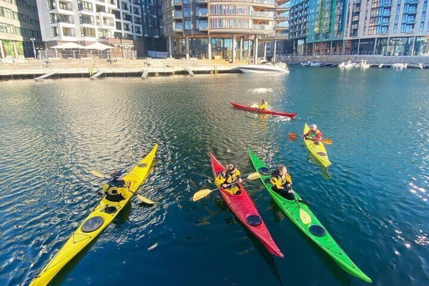 2 Hours Sea Kayak in Oslo