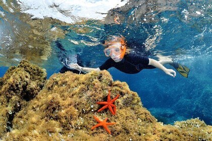 Boottocht en snorkelen in de Golf van Calvi