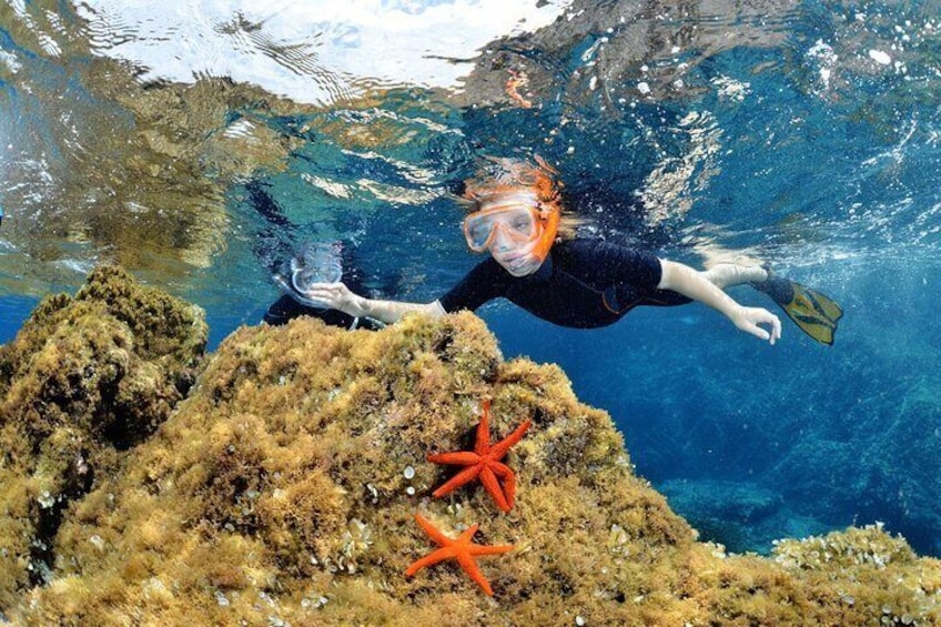 Boat Trip and Snorkeling in the Gulf of Calvi