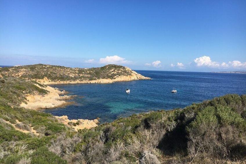 Boat Trip and Snorkeling in the Gulf of Calvi
