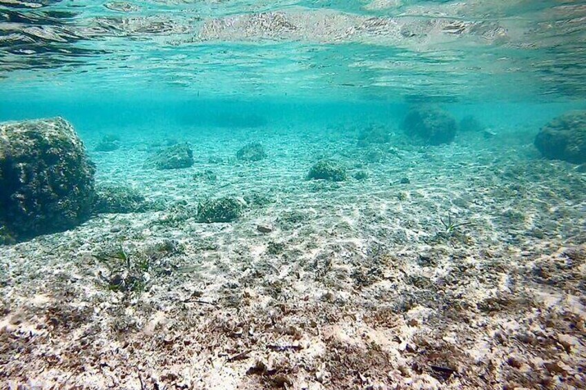 Mallorca: Private Boat Tour and Snorkel in Palma de Mallorca