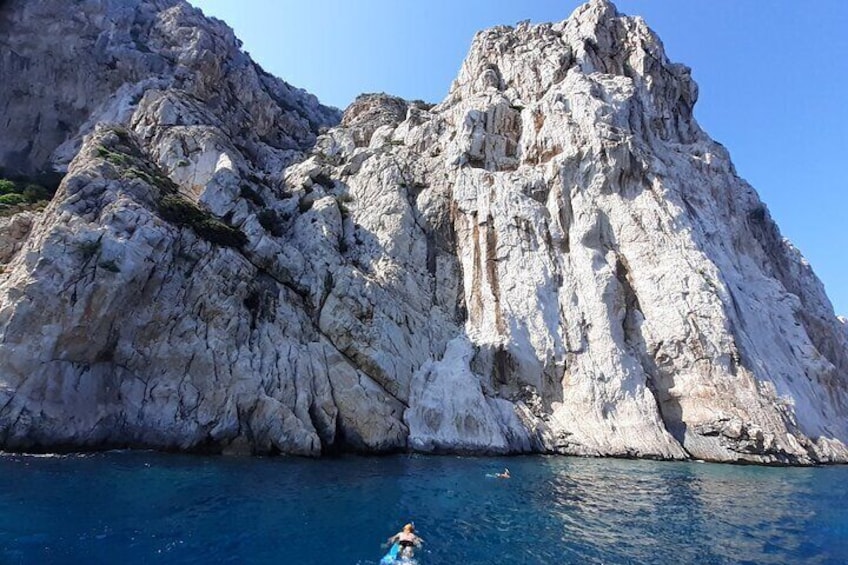 Dolphin Watching Boat Excursion to Figarolo Island from Olbia