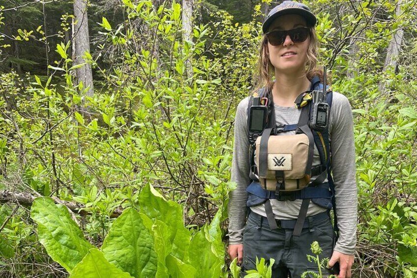 Skunk Cabbage
Day Hike 