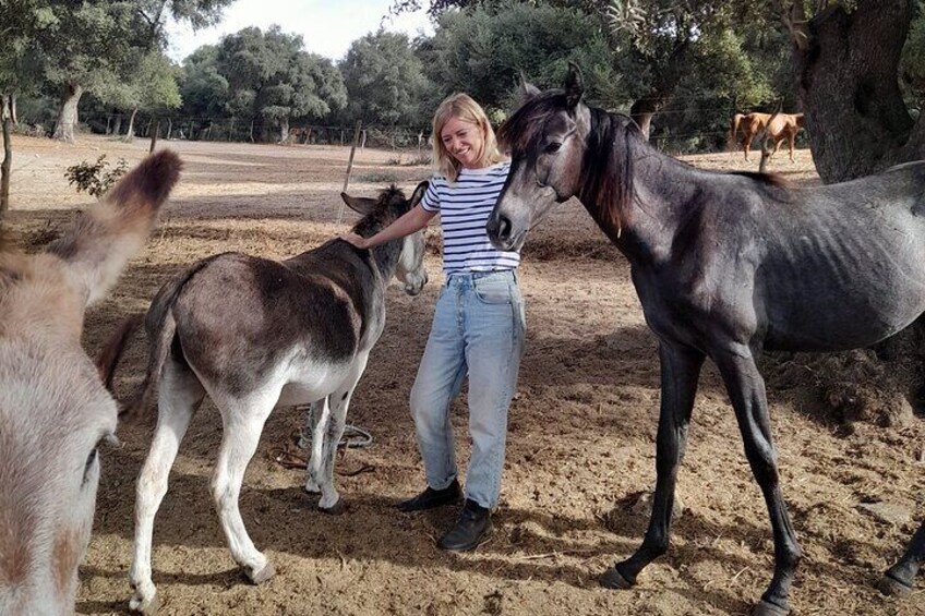 Personal Coaching Assisted with Horses
