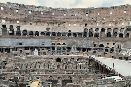Tour privado del Coliseo con el Foro Romano y el monte Palatino