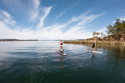 Paddle the Gulf Island - 3 Hour Guided Tour