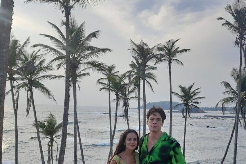 The Coconut tree hill