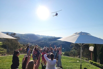Half-Day Canberra Winery Tour to Murrumbateman /w Banquet