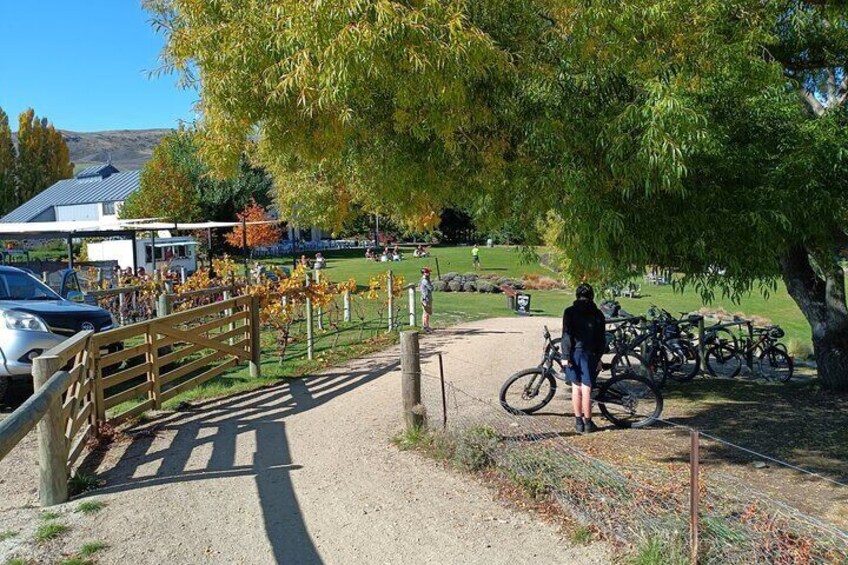 A quick stop at Carrick Winery after 8km