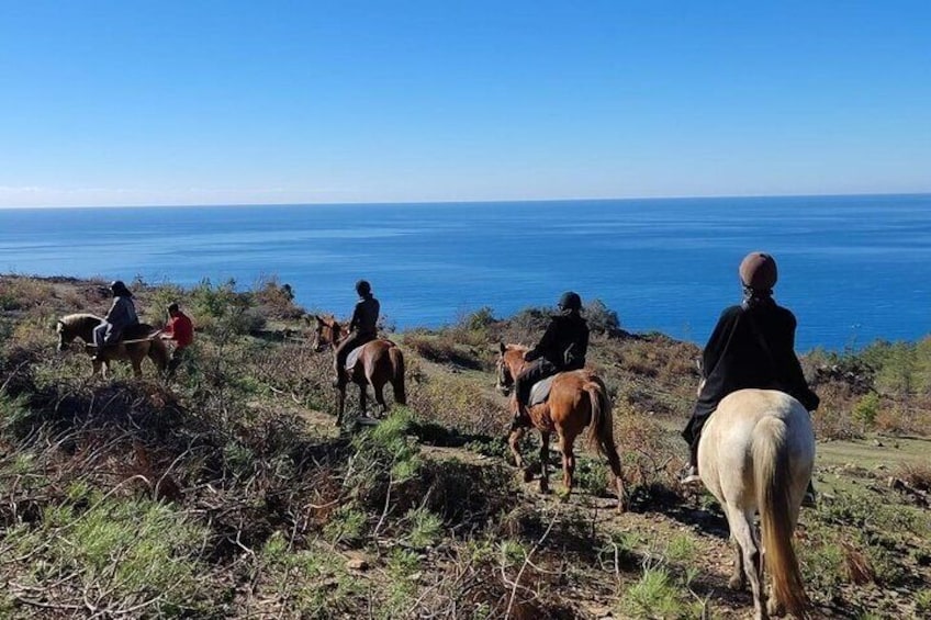 3-Hour Horse Riding in Alanya