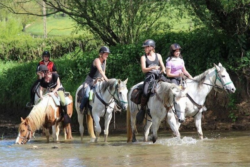 3-Hour Horse Riding in Alanya