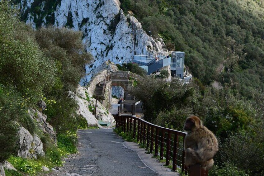 3.30Hrs Private Victory Diamond Rock Tour in Gibraltar