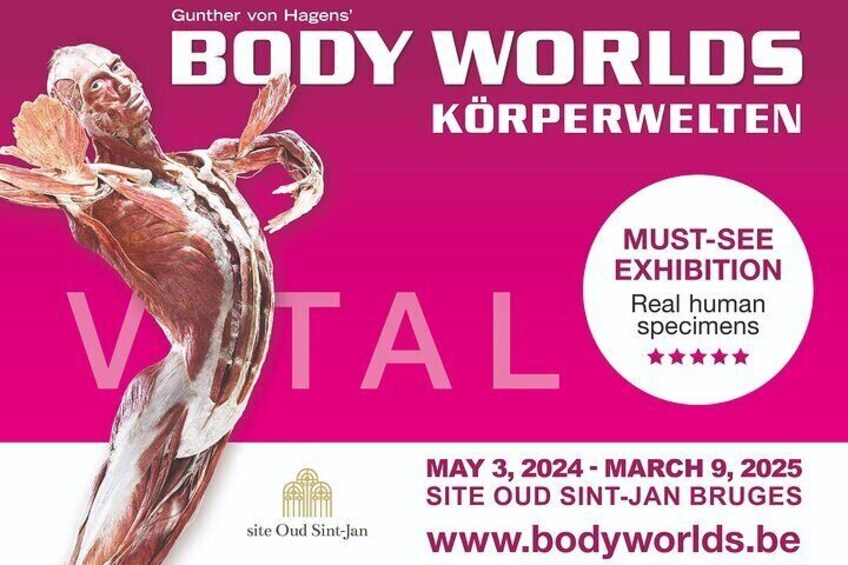 Discover the must-see expo BODY WORLDS (Körperwelten) in the centre of the city of Bruges in Belgium. With real human specimens, interactive displays, anatomical mirror and more.