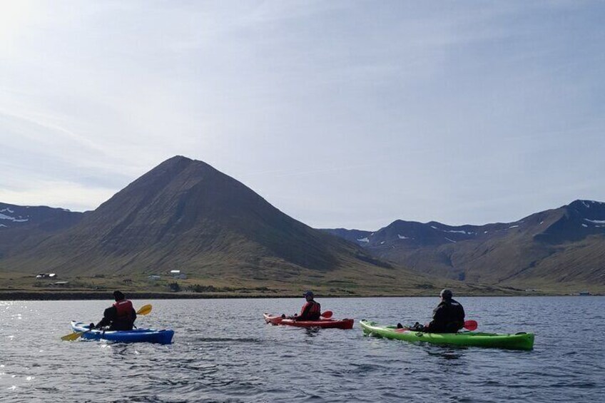 Private: Guided kayak tour in Siglufjörður / Siglufjordur