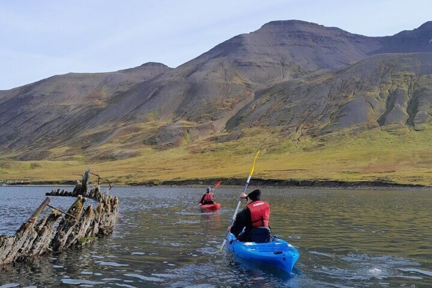 Private: Guided kayak tour in Siglufjörður / Siglufjordur