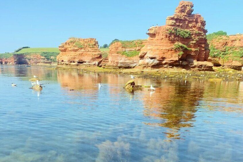 Private Paddle Board Tour to Ladram Bay from Sidmouth