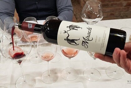 Tour de un día: Visita Histria Ancient Citadel & Taste vinos locales