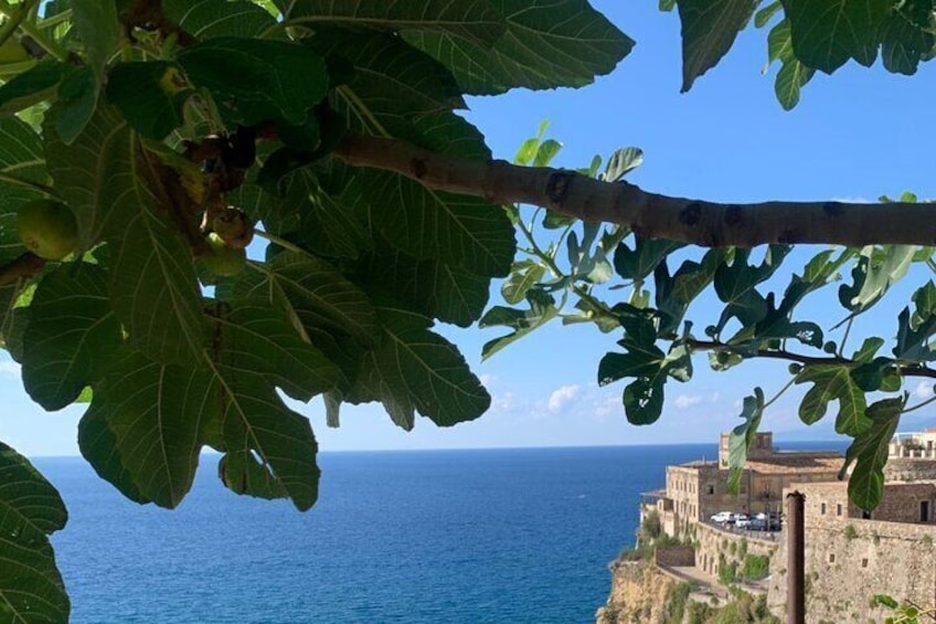 Private Walking Tour Guided by a Local in Pizzo Calabro