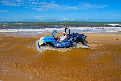 Tour en buggy à Natal - Côte Nord