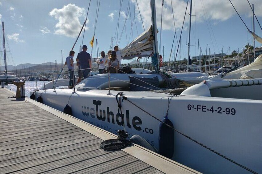 Small Group Dolphin Sunset Tour on Electric Catamaran Lanzarote