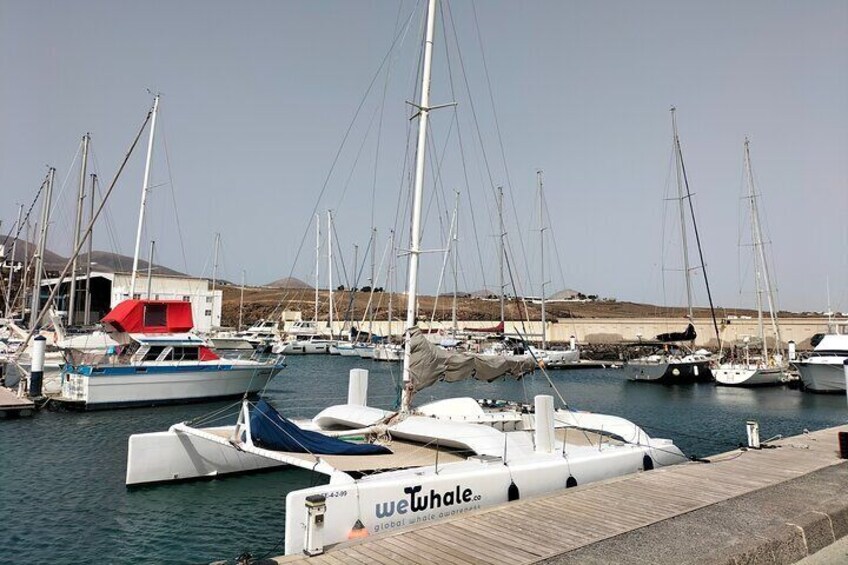 Small Group Dolphin Sunset Tour on Electric Catamaran Lanzarote