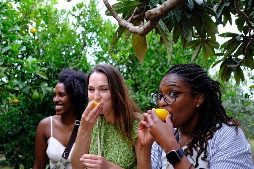 Enjoying lemons