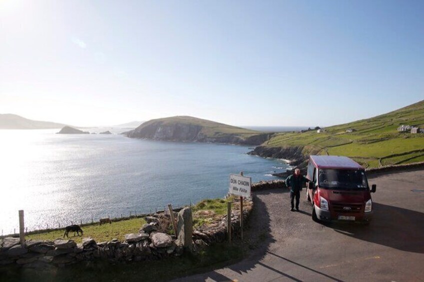 Half Day Private Tour to Dingle Peninsula and Slea Head