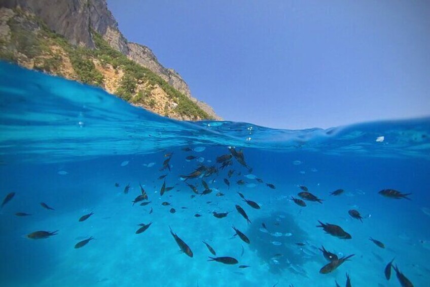 Gulf of Orosei Speedboat Trip with Aperitif from Cala Gonone